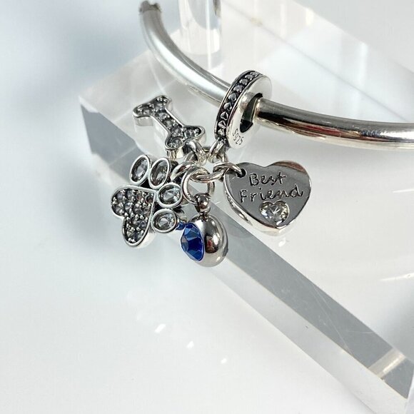 Best Friend Paw and Bone with Birthstone Dangle - CUSTOMIZABLE - Picture 3 of 6